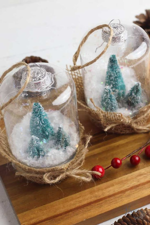 Adult Craft: Snow Gl